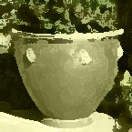 BWPOT